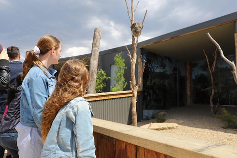 Blue Mountains Nature And Wildlife Day Tour From Sydney - Darwin Holiday 3
