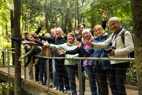 All Inclusive Blue Mountains Small-Group Day Trip From Sydney - Darwin Holiday 5