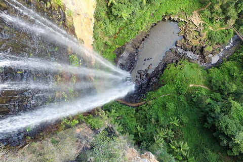 Natural Bridge & Springbrook Waterfalls Tour + Hot Air Balloon With Breakfast - Darwin Holiday 1