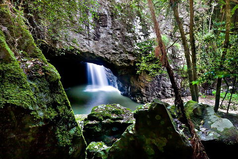 Natural Bridge & Springbrook Waterfalls Tour + Hot Air Balloon With Breakfast - Darwin Holiday 4