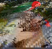 Lamington National Park O'Reilly's  Vineyard Tour - Darwin Holiday