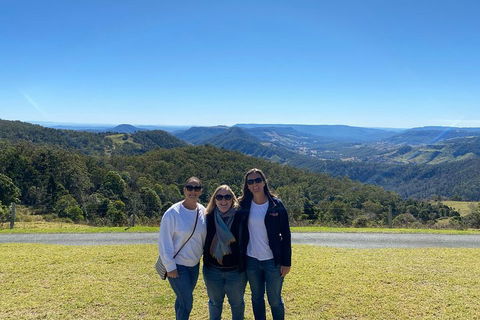 Lamington National Park, O'Reilly's & Vineyard Tour - Darwin Holiday 3