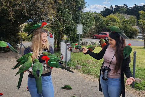 Lamington National Park, O'Reilly's & Vineyard Tour - Darwin Holiday 5