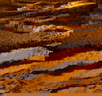 The Explorers' Discovery Tour - Gold Wine  Wildlife - Darwin Holiday