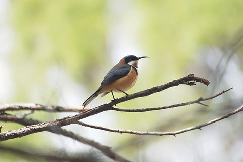 Private Blue Mountains Insider Tour From Sydney - Darwin Holiday 2