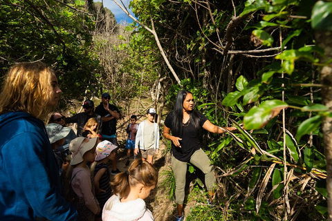 Cape Byron Aboriginal Tour - Darwin Holiday 4