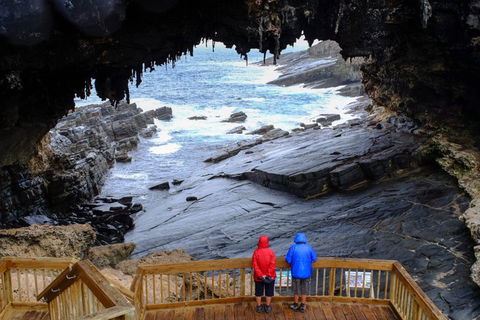 Full-Day Kangaroo Island Safari From Penneshaw - Darwin Holiday 1