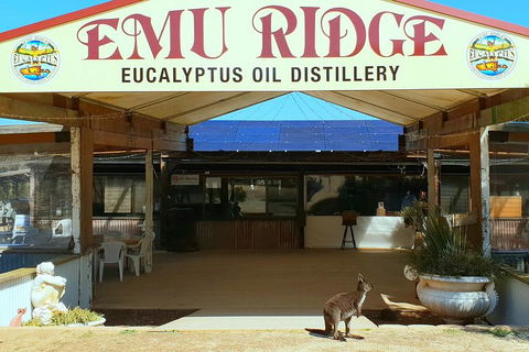Full-Day Kangaroo Island Safari From Penneshaw - Darwin Holiday 2