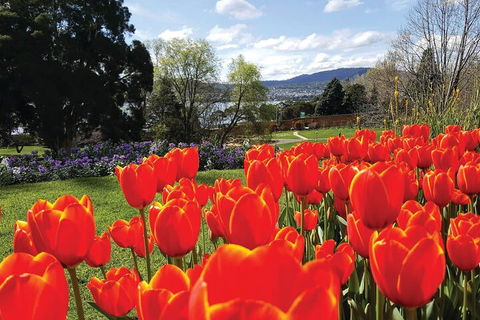 Hobart City Sightseeing Tour Including MONA Admission - Darwin Holiday 4