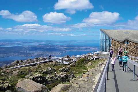 Mt Wellington Tour And MONA Admission - Darwin Holiday 1