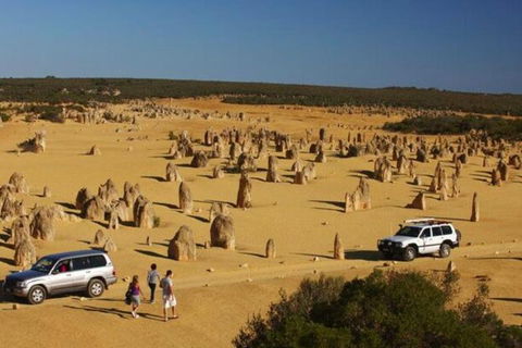 1-Day Pinnacles And Yanchep Tour From Perth Including Fish And Chips Lunch - Darwin Holiday 0