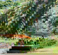 Tropical Fruit World Farm Full Tour - Darwin Holiday