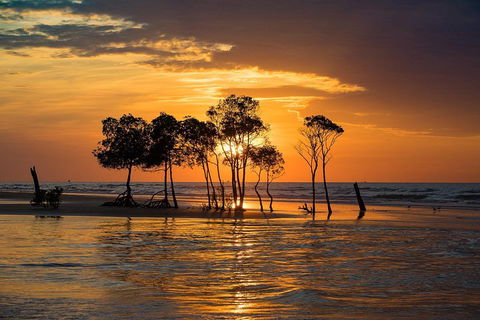 Delightful Darwin Self-Guided Audio Tour - Darwin Holiday 3