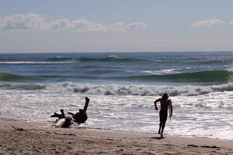 Private Surf Coaching Session In New South Wales - Darwin Holiday 3