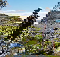 Half Day Guided Small Group Walk - Darwin Holiday