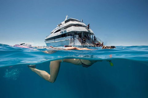 3 Day Great Barrier Reef, Daintree Rainforest And Outback Chillagoe Tour - Darwin Holiday 0