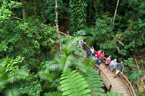 2 Day Daintree Rainforest, Cape Tribulation And Outback Chillagoe Tour - Darwin Holiday 3