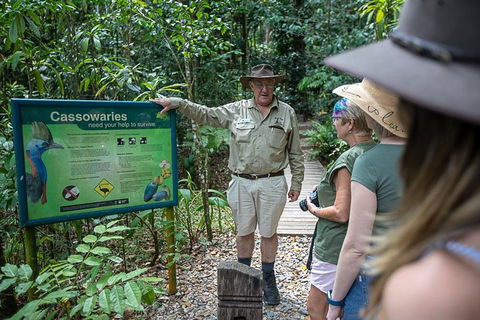 2 Day Daintree Rainforest, Cape Tribulation And Outback Chillagoe Tour - Darwin Holiday 5