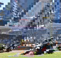 Personalised Half Day With A Local In Melbourne - Darwin Holiday