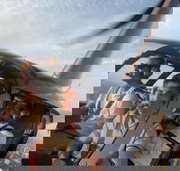 Melbourne and Port Phillip Bay Helicopter Tour - Darwin Holiday