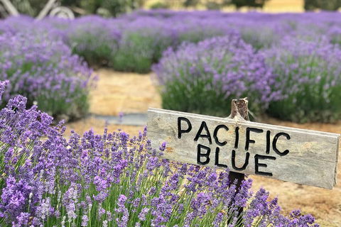 Kangaroo Island Food And Wine Trail Tour - Darwin Holiday 0