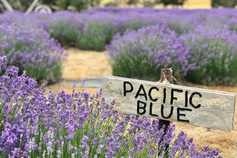 Kangaroo Island Half Day Food And Wine Trail Tour - Darwin Holiday 5