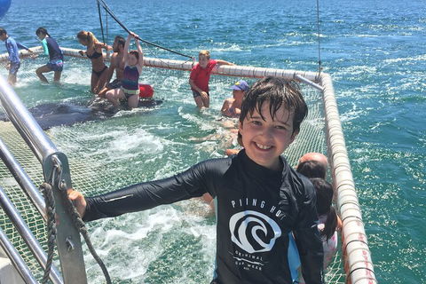 Port Stephens Private Tour From Sydney, With Dolphin/ Whale Cruise Options - Darwin Holiday 0