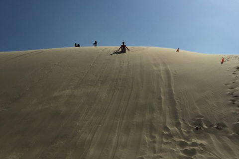 Port Stephens Private Tour From Sydney, With Dolphin/ Whale Cruise Options - Darwin Holiday 5