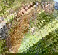 Southern Highlands  South Coast Private Tour From Sydney - Darwin Holiday