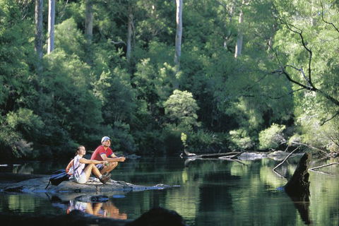 4 Day Tour: Albany, Margaret River, Valley Of The Giants TreeTop Walk From Perth - Darwin Holiday 3