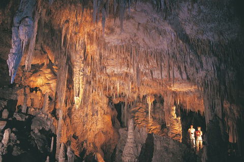 2-Day Margaret River Wine Experience From Perth - Darwin Holiday 2