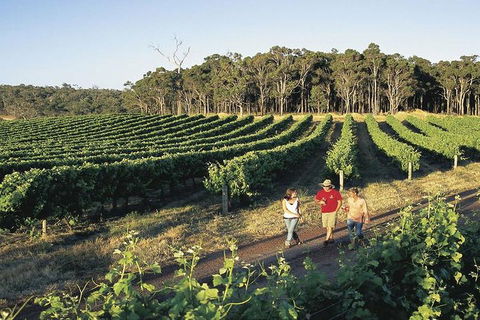 2-Day Margaret River Wine Experience From Perth - Darwin Holiday 3