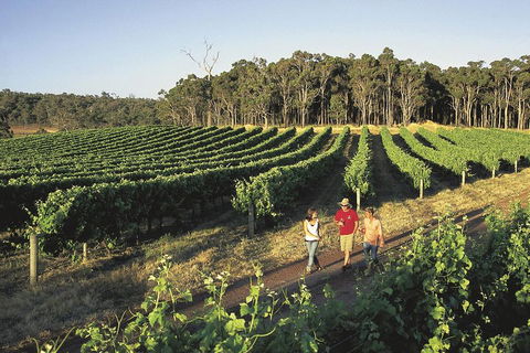 Margaret River, Caves, Wine And Cape Leeuwin Lighthouse Tour From Perth - Darwin Holiday 1