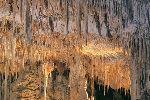 Margaret River, Caves, Wine And Cape Leeuwin Lighthouse Tour From Perth - Darwin Holiday 3