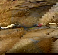 2-Day Wave Rock York Wildflowers  Aboriginal Experience - Darwin Holiday