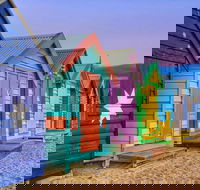 Phillip Island Penguin Brighton Beach Moonlit Sanctuary from Melbourne - Darwin Holiday