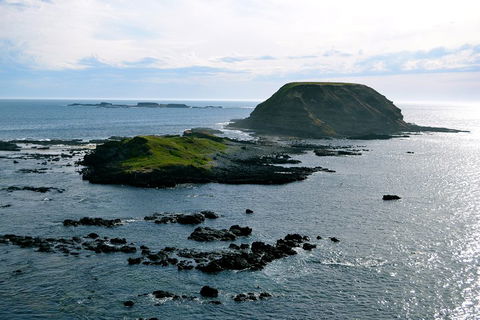 Puffing Billy, Wildlife Sanctuary & Penguins Day Tour From Melbourne - Darwin Holiday 1