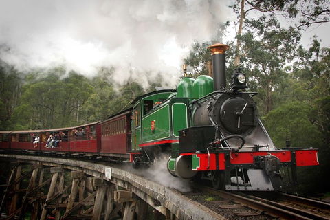 Puffing Billy, Wildlife Sanctuary & Penguins Day Tour From Melbourne - Darwin Holiday 5