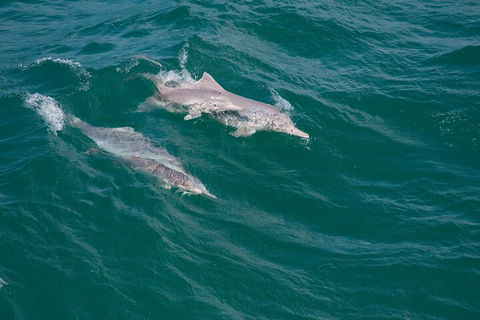North Stradbroke Island Private Tour With Pickup - Darwin Holiday 0