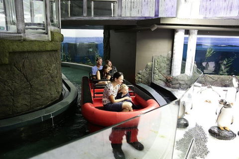 Sydney Attractions Pass: SEA LIFE Aquarium, Sydney Tower Eye, WILD LIFE Zoo And Madame Tussauds - Darwin Holiday 0