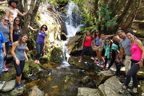 7-Day Super Value Tour Of Tasmania: Explore Tasmania's West And East Coasts - Darwin Holiday 2