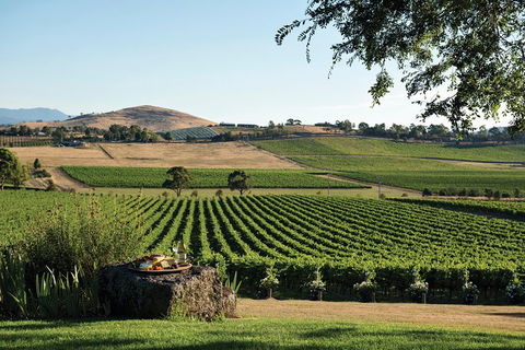 Small Group 6 Guests: Ultimate Yarra Valley Food And Wine - Mercedes Van - Darwin Holiday 4