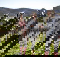 Yarra Valley 2-6 guests Premium Food and Wine inc Lunch at Dominique Portet - Darwin Holiday