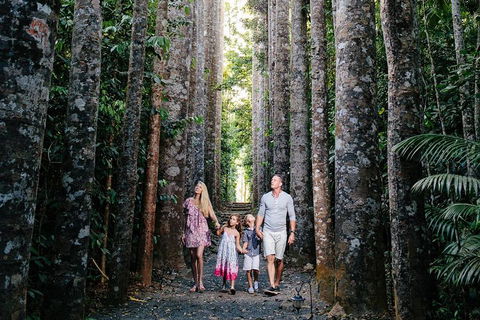 The Original Day Tour To Paronella Park, Lake Barrine And Millaa Millaa Falls - Darwin Holiday 1