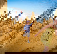 Full-Day Pinnacles Desert and Yanchep National Park Tour From Perth - Darwin Holiday