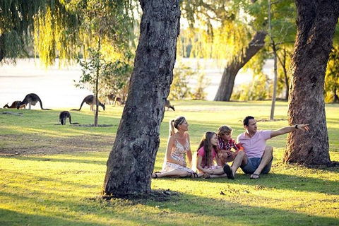 Full-Day Pinnacles Desert And Yanchep National Park Tour From Perth - Darwin Holiday 3