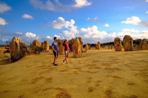 Full-Day Pinnacles Desert And Yanchep National Park Tour From Perth - Darwin Holiday 4
