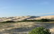 Port Stephens Bush, Beach And Sand Dune 4WD Tag-Along Tour - thumb 2