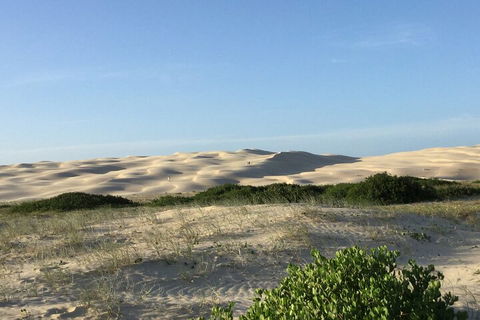 Port Stephens Bush, Beach And Sand Dune 4WD Tag-Along Tour - Darwin Holiday 2