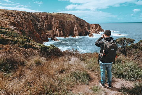 Private Phillip Island & Penguin Parade Hiking Tour From Melbourne - Darwin Holiday 5